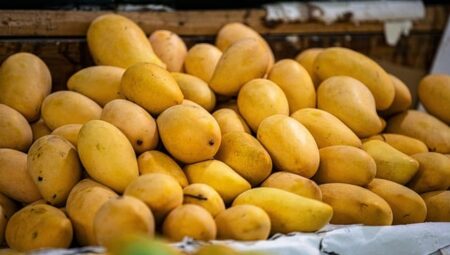 Almanya Gıda Laboratuvarı Teknisyeni Maaşları