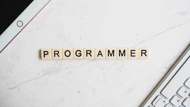 Analist Programcı Maaşları