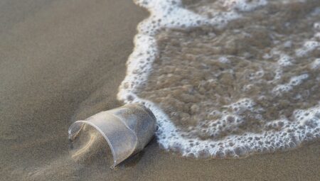 Deniz Kirliliği Temizleme Görevlisi Maaşları