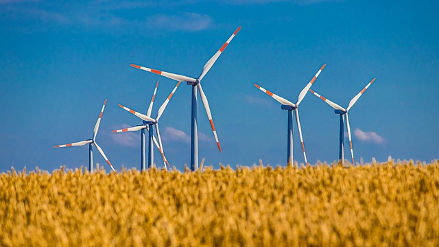 Elektrik Teklif Mühendisi Maaşları