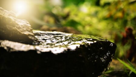 Fitoterapi ve Aromaterapi Uzmanı Maaşları