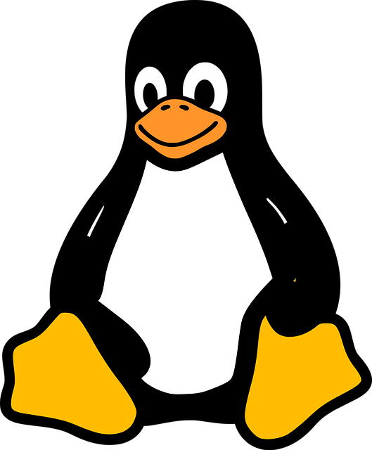 Linux Sistem Mühendisi Maaşları