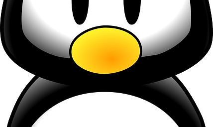 Linux Sistem Yöneticisi Maaşları