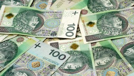 Mali İşler Sorumlusu Maaşları