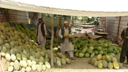 Randevu Kabul Elemanı Maaşları