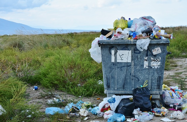 Tehlikeli Atık Yöneticisi Maaşları