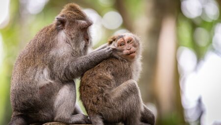 Temizlik Hizmetleri Şefi Maaşları