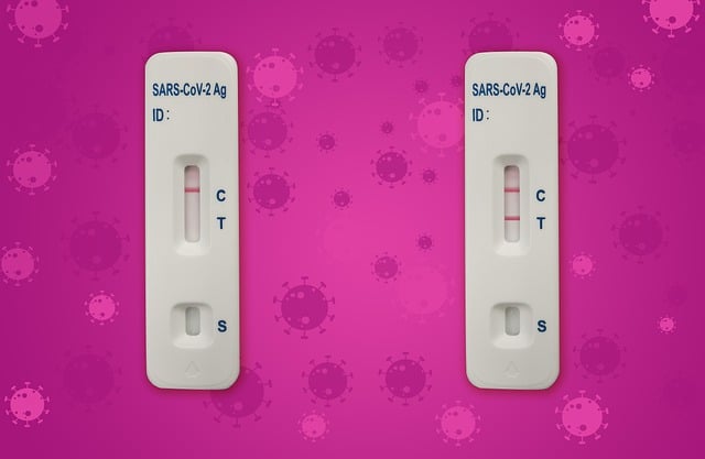 Test Operatörü Maaşları