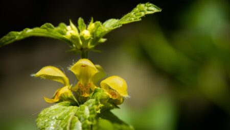 Topçu Uzman Çavuşu Maaşları