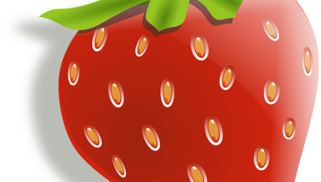 Vegan Aşcı Maaşları